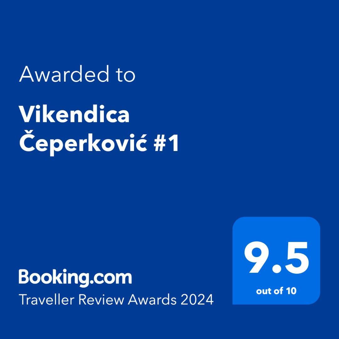 科帕奥尼克Vikendica Ceperkovic #1别墅 外观 照片